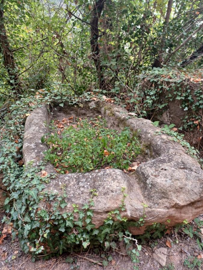 La Vieja Escuela Βίλα Fuentes de Rubielos Εξωτερικό φωτογραφία